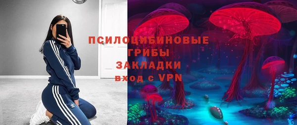 индика Бородино