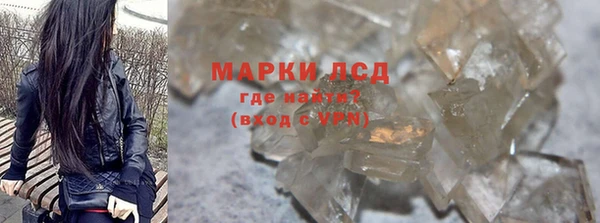 индика Бородино