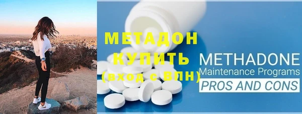 индика Бородино