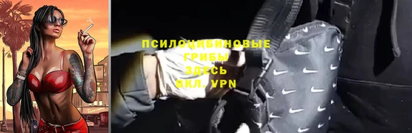 молекула духа Верхний Тагил