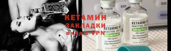 индика Бородино