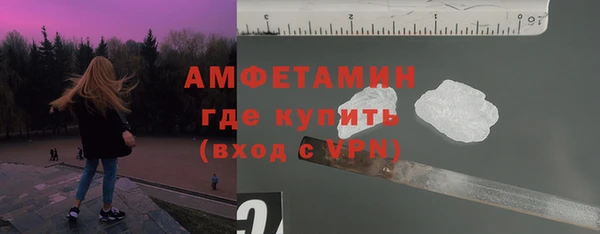 мет Няндома