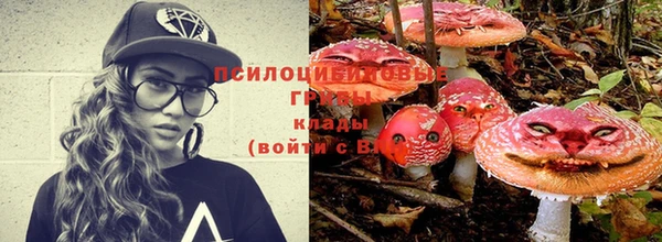 экстази Пестово