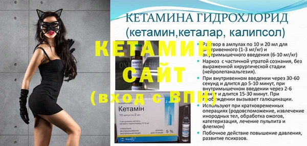 индика Бородино