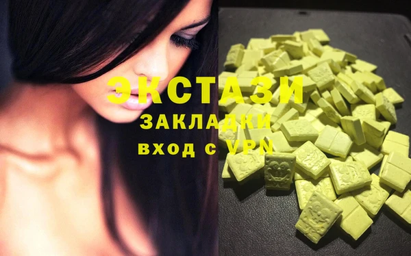 индика Бородино