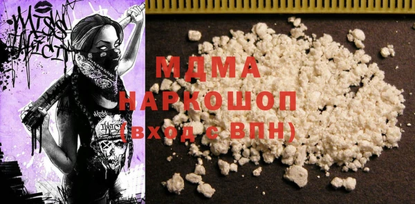 индика Бородино