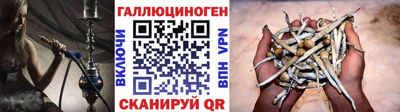 Псилоцибиновые грибы ЛСД mega ONION Верхний Уфалей что такое